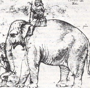 Hanno, The Pope's Leo X Elephant