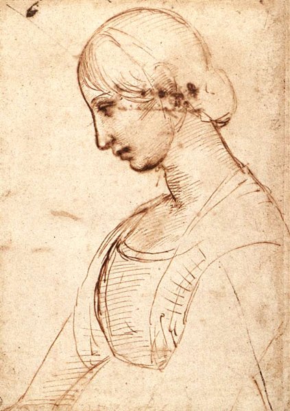 Waist Length Figure Of A Young Woman