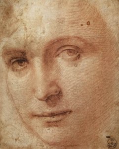 Head of a Youth